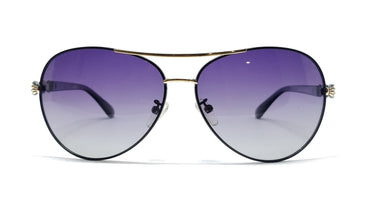 Eagle Vision X - UV Protected Aviator Polarized Sunglasses - H 7972